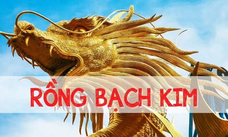 Giới thiệu về top rồng bạch kim hôm nay tại sodo